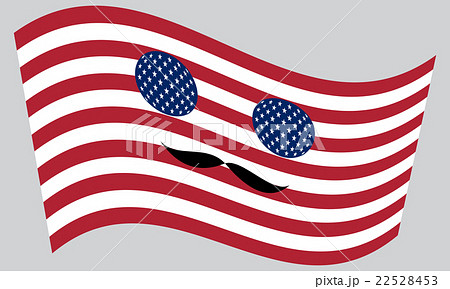 Patriotic USA icon with mustaches 22528453