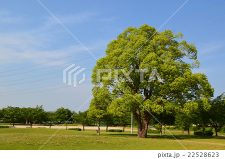 春日井市　落合公園 22528623