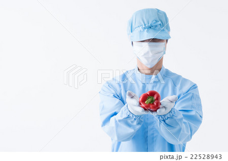 食品検査/研究 食品検査/研究 22528943