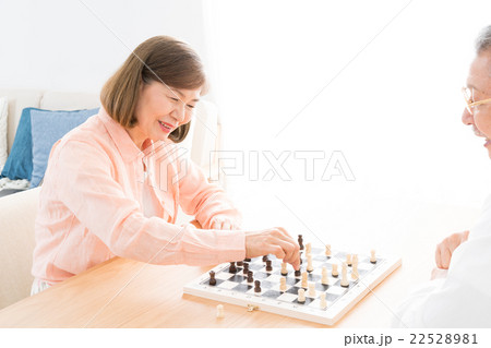 チェス 22528981