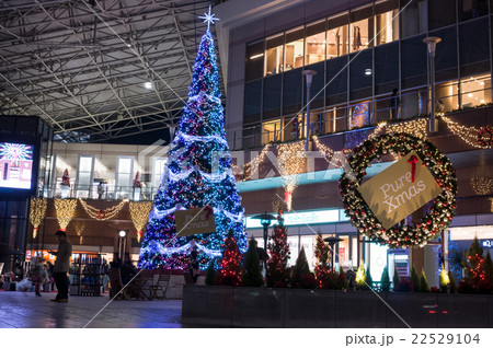 クリスマスイルミネーション クリスマスイルミネーション 22529104