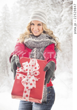 Portrait of young woman holding Christmas present 22529847