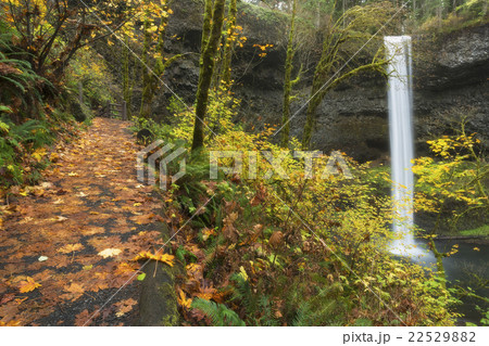 Waterfall in autumn forest Waterfall in autumn forest 22529882