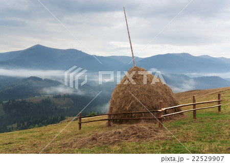 Haystack on field in mountains 22529907