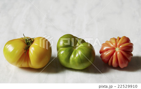 Tomatoes on white background Tomatoes on white background 22529910