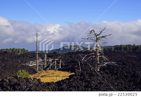 Mount Etna's dried lava flow Mount Etna's dried lava flow 22530025