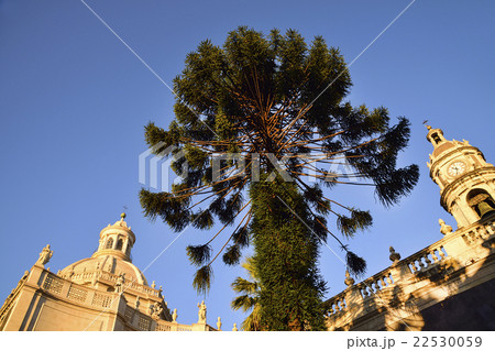 Tower and dome of 11th century cathedral Tower and dome of 11th century cathedral 22530059
