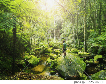 Mid adult man standing on rock in green forest 22530252