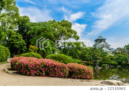大阪城 ツツジが満開の日本庭園から望む天守 大阪城 ツツジが満開の日本庭園から望む天守 22530963
