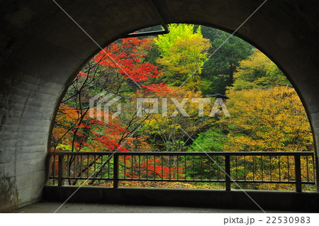 ふくろだの紅葉 22530983