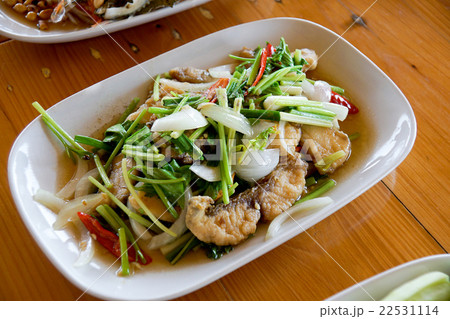 Stir fried fish with chinese celery in white dish Stir fried fish with chinese celery in white dish 22531114