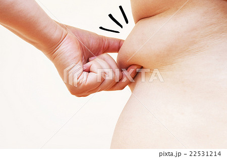 贅肉のイメージ 22531214