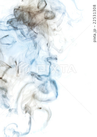 Smoke-shaped Monster,white background 22531308