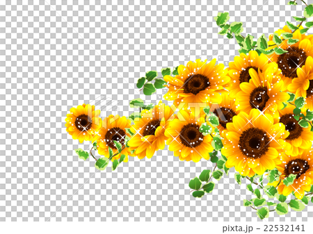 向日葵の夏らしい背景のイラスト素材