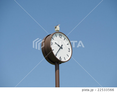 屋外の時計 22533566
