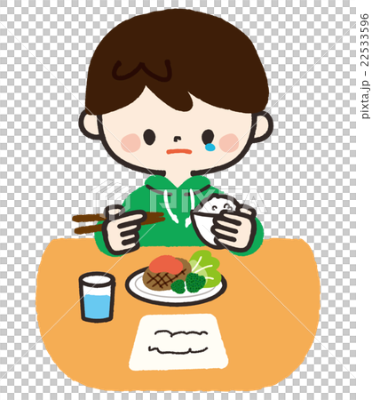 一人で食事する男の子 <手作りごはん> 一人で食事する男の子 <手作りごはん> 22533596
