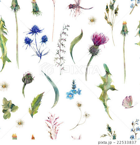 Summer watercolor seamless floral pattern with 22533837