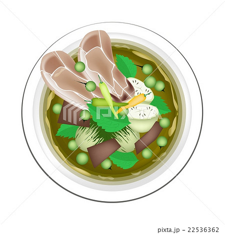 Thai Green Curry with Beef and Eggplant 22536362