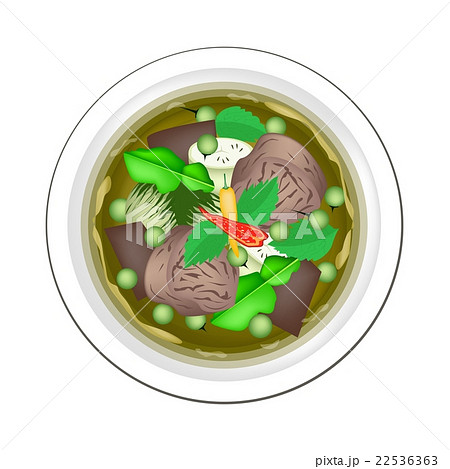 Thai Green Curry with Beef and Eggplant 22536363