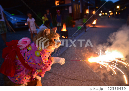 花火あそびのみいこ 花火あそびのみいこ 22536459