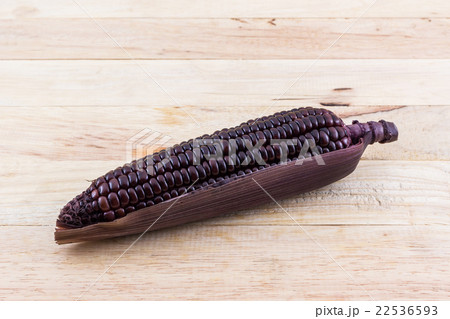 Fresh purple organic corn, Maize. 22536593