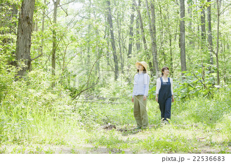 ハイキングする女性 22536683
