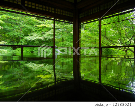 京都　瑠璃光院 22538021