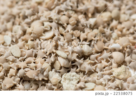 竹富島 カイジ浜 竹富島 カイジ浜 22538075