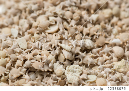 竹富島　カイジ浜 22538076