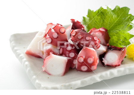 タコぶつ 22538811