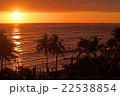 ワイキキサンセット 22538854