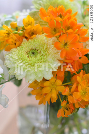 ガーベラのアレンジメント 22539059
