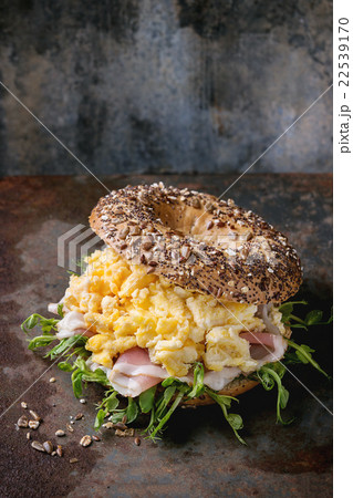 Whole Grain bagel 22539170