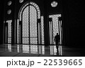 美しきイスラム建築 22539665