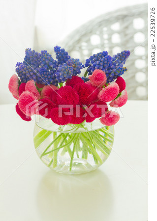 Muscari and Daisy Flowers Muscari and Daisy Flowers 22539726