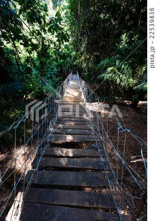 Bridge in Burkina faso Bridge in Burkina faso 22539836