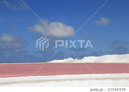 Salt and Pink water 22540376