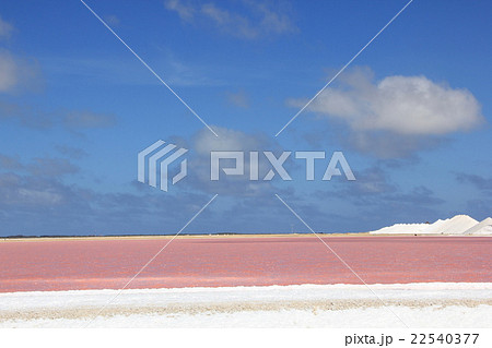 Salt and Pink water 22540377