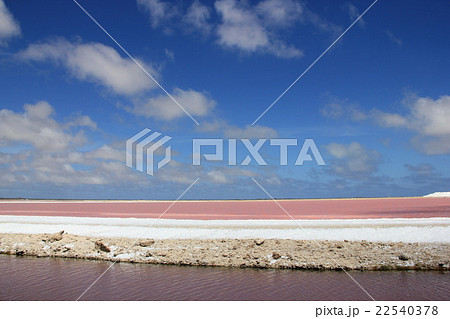 Salt and Pink water 22540378