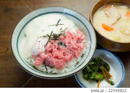 山かけネギトロ丼 22540822