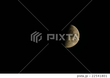 月　MOON　月齢 7.3 宵月 小潮 22541801