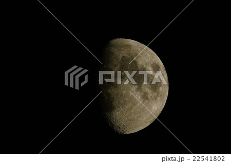 月　MOON　月齢 9.3 十日月 小潮 22541802