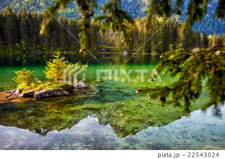 turquoise water and scene of trees and Lake turquoise water and scene of trees and Lake 22543024