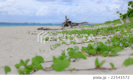 マニャガハ島の砂浜 22543572