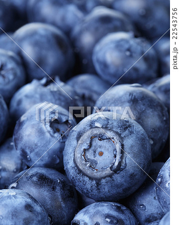 freshly washed blueberries close up photo freshly washed blueberries close up photo 22543756