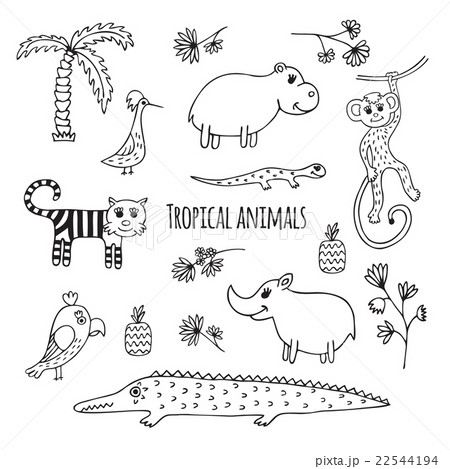 Set of black and white Tropical animals Set of black and white Tropical animals 22544194