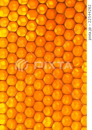 Honeycomb background Honeycomb background 22544262