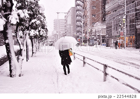 都心の大雪 22544828