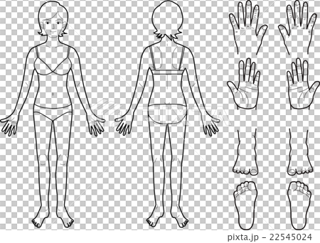 Female dermatology affected area - Stock Illustration [22545024] - PIXTA