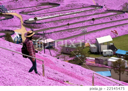 芝桜公園　（東藻琴町）　 22545475